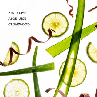 Touchland, Touchland Power Mist - Aloe You - Basically Bows & Bowties