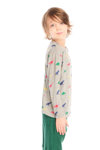 Chaser Multi Dinos Long Sleeve
Child wearing a gray sweater with colorful dinosaur patterns on a white background