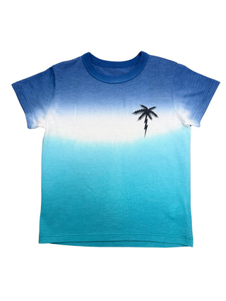Chaser Lightning Palm Ombre Tee