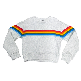 FBZ  Rainbow Stripe Misty Grey Sweatshirt
Gray sweatshirt with rainbow stripes on a white background