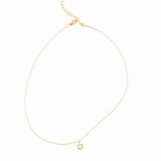 Pip Pop Post Star of David Necklace
