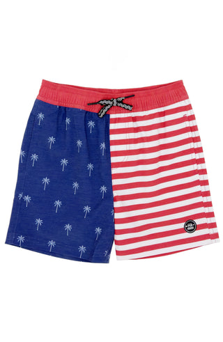 Feather 4 Arrow Palm Stripe Volley Trunk - Twilight