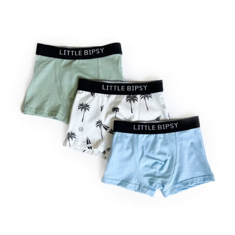 Little Bipsy Boxer Brief 3 Pack - Baja Mix, Little Bipsy Collection, Baja Mix, Boxer Briefs, Boy underwear, Boys Boxer Briefs Set, cf-size-1-2y, cf-size-6-7y, cf-type-boys-boxer-briefs, cf-ve