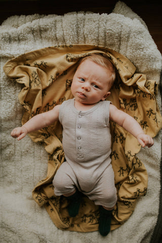 L'ovedbaby Pointelle Sleeveless Romper - Light Gray, L'ovedbaby, cf-size-3-6-months, cf-size-6-9-months, cf-type-romper, cf-vendor-lovedbaby, CM22, Els PW 5060, L'ovedbaby, L'ovedbaby Light G