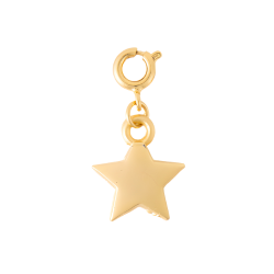 The Crowns Bespoke Jewelry Charm - Gold Star