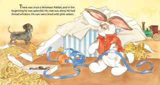 The Velveteen Rabbit Board Book
Illustration of a Velveteen Rabbit from a book, surrounded by toys and text.