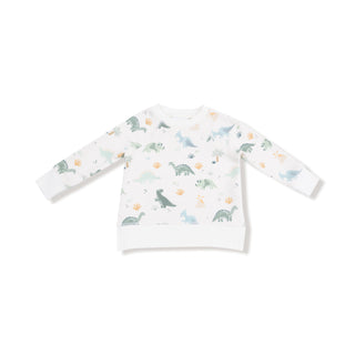 Angel Dear French Terry Raglan Sweatshirt & Jogger Set - Soft Dinos
Baby long-sleeve shirt with dinosaur pattern on a white background
