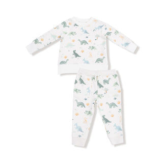 Angel Dear French Terry Raglan Sweatshirt & Jogger Set - Soft Dinos
Baby outfit with dinosaur pattern on a white background