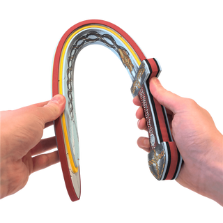 Liontouch Sword - Harald Viking Red
Horseshoe held by two hands with decorative elements on a white background