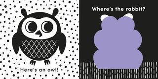 Baby's First Cloth Book: Cuddly Bear
Children's book page with an owl illustration on one side and a question on the other.