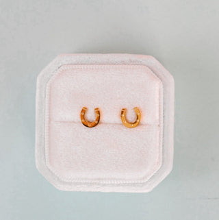 Pierced Co. Lucky You Horseshoe Earrings