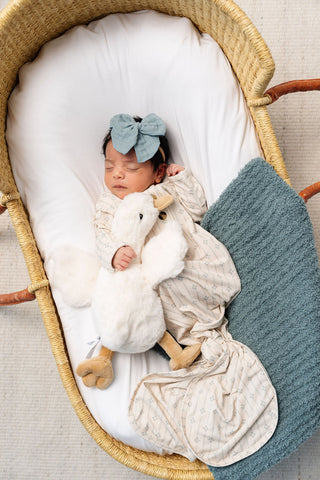 Lou Lou and Company Knotted Gown - Kit
Newborn baby in a Moses basket with a plush toy and blue blanket
