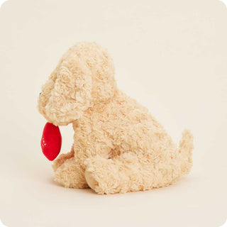Be Mine Golden Dog Warmies
Beige plush dog toy with a red tag on a beige background