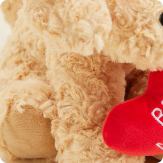Be Mine Golden Dog Warmies
Close-up of a beige teddy bear holding a red heart with white text.