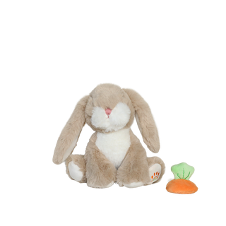 Olli Ella Binky Bunny - Hop
Plush rabbit toy with a small carrot-shaped toy on a white background
