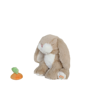 Olli Ella Binky Bunny - Hop
Plush rabbit toy with a small carrot on a white background