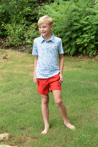 BlueQuail Clothing Co Polo Short Sleeve Shirt - Stars & Stripes
Child in a blue shirt and red shorts standing on grass with ferns in the background
