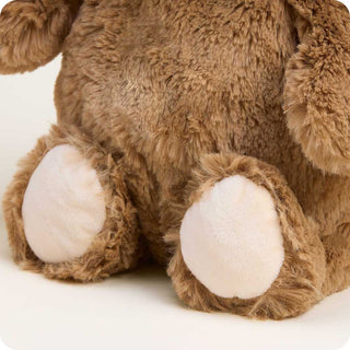 Brown Dog Warmies for Pets
Close-up of a brown teddy bear's feet on a white background