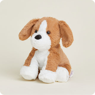 Beagle Warmies
Plush dog toy with brown and white fur on a beige background