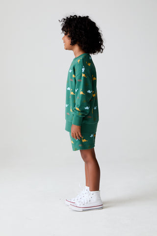 Chaser Dino Party Boys Pullover
Child wearing a green dress with animal prints on a white background