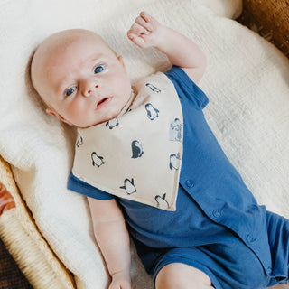 Copper Pearl Arctic Wonder bandana bib set featuring soft, stylish bibs with a winter-themed pattern for babies.