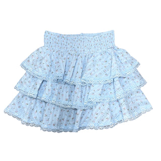 FBZ Blue & Pink Rose Lace Trimmed Tiered Skirt
Light blue ruffled skirt with floral pattern on a white background