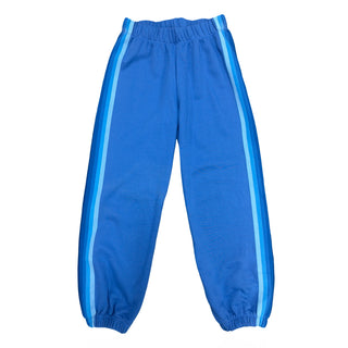 FBZ Blue Tonal Stripe French Terry Jogger