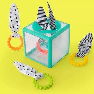 Sassy Baby Sassy Toys Rainbow Ring Drop Stacking Toy