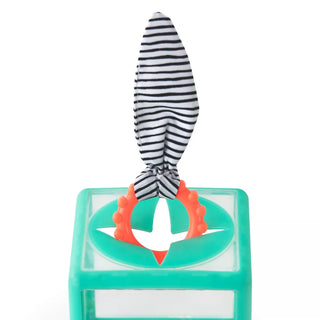 Sassy Baby Sassy Toys Rainbow Ring Drop Stacking Toy