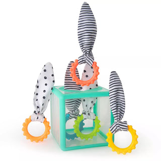 Sassy Baby Sassy Toys Rainbow Ring Drop Stacking Toy