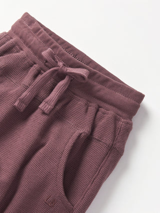 Little Bipsy Waffle Jogger - Huckleberry
Purple waffle knit pants with drawstring on a white background