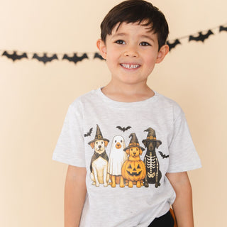 Sweet Wink Halloween Puppies Short Sleeve T-Shirt
A young boy smiling and wearing a light gray heather t-shirt with a graphic of four dogs dressed in Halloween costumes (witch, ghost, pumpkin, skeleton). The background is a warm beige wall with a black bat banner.