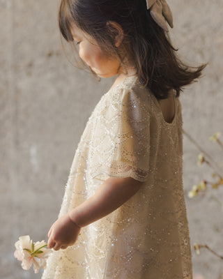 Noralee Daisy Dress - Silver Metallic
Child wearing a beige dress with floral details against a neutral background