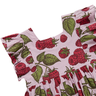 pink chicken elsie dress Pink Chicken Girls Elsie Dress Stellar Blue Garden Floral / 7Y