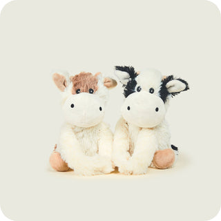 Warmies Cow HUGS
Two plush cow toys on a light gray background