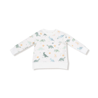 Angel Dear French Terry Raglan Sweatshirt & Jogger Set - Soft Dinos
Baby long-sleeve shirt with dinosaur pattern on a white background
