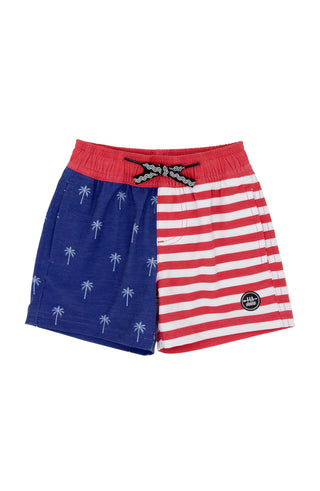 Feather 4 Arrow Palm Stripe Volley Trunk - Twilight