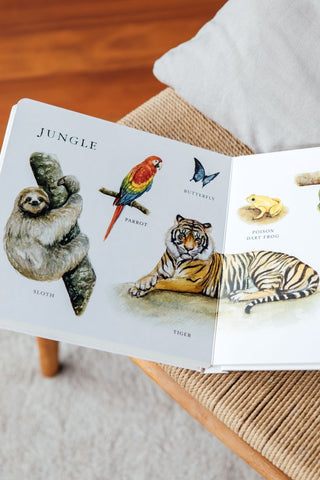 Our Big Book of Animals Board Book
Children's book open to pages showing illustrations of animals like a sloth, parrot, butterfly, tiger, and poison dart frog.