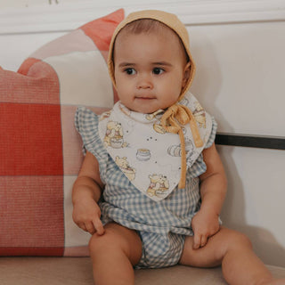 Copper Pearl Hundred Acre Bandana Bib Set