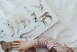 Our Big Book of Animals Board Book
Children's book with illustrations of Arctic animals and a child's hand on the cover.