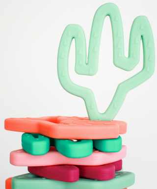 Little Teether, Little Teether Cactus Silicone Teething Toy - Sage - Basically Bows & Bowties