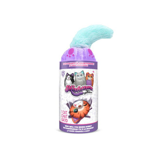 Schylling Misfittens Surprise Cat Cat toy with colorful packaging featuring cartoon cats on a white background