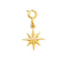 The Crowns Bespoke Jewelry Charm - Gold Star
