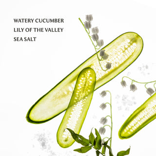 Touchland Power Mist - Lily Of The Valley 