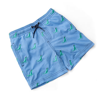 Shade Critters Shadey Dinos Boys Water Appearing Embroidered Swim Trunks