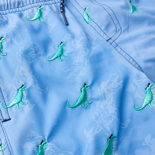 Shade Critters Shadey Dinos Boys Water Appearing Embroidered Swim Trunks