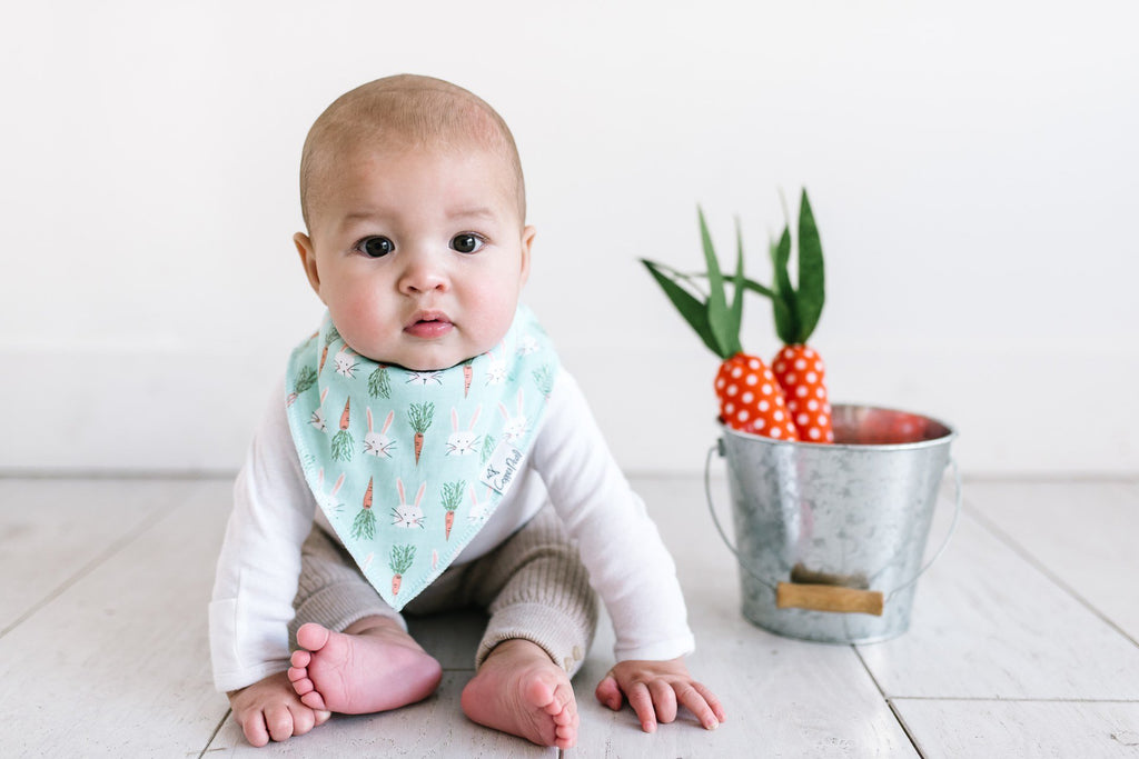 Copper Pearl Holiday Bandana Bib Set Basically Bows & Bowties