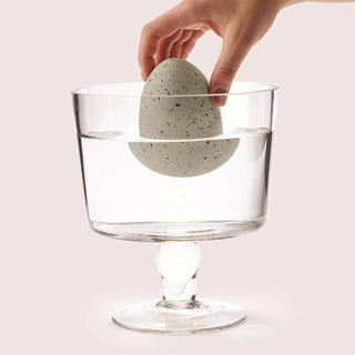 Mystery Growing Dino in Egg, Two's Company, Dinosaur, Dinosaur Egg, Dinosaurs, EB Boy, EB Girls, Hatching Dinosaur, Mystery Dinosaur, Stocking Stuffer, Stocking Stuffers, Two's Company, Toys 