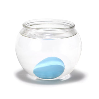 Grow Your Own Shark - Hatching Shark Egg, Two's Company, EB Boy, EB Girls, Grow Your Own Shark, Hatching Shark Egg, Shark, Sharks, Stocking Stuffer, Stocking Stuffers, Two's Company, Toys - B