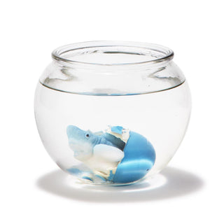 Grow Your Own Shark - Hatching Shark Egg, Two's Company, EB Boy, EB Girls, Grow Your Own Shark, Hatching Shark Egg, Shark, Sharks, Stocking Stuffer, Stocking Stuffers, Two's Company, Toys - B